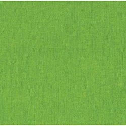 Green - Echino Solid - Canvas